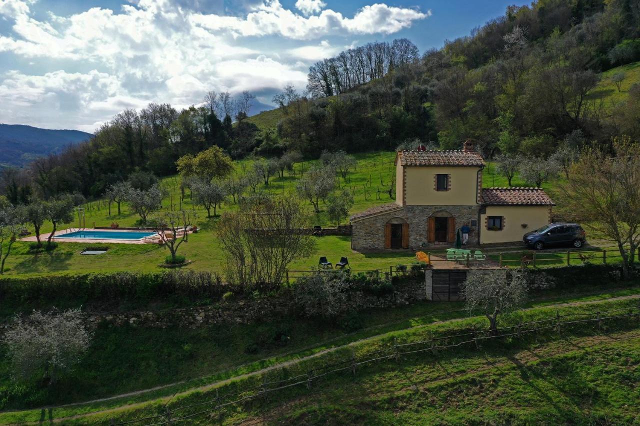 Villa San Regolino Whit Private Pool Radicondoli Exteriér fotografie